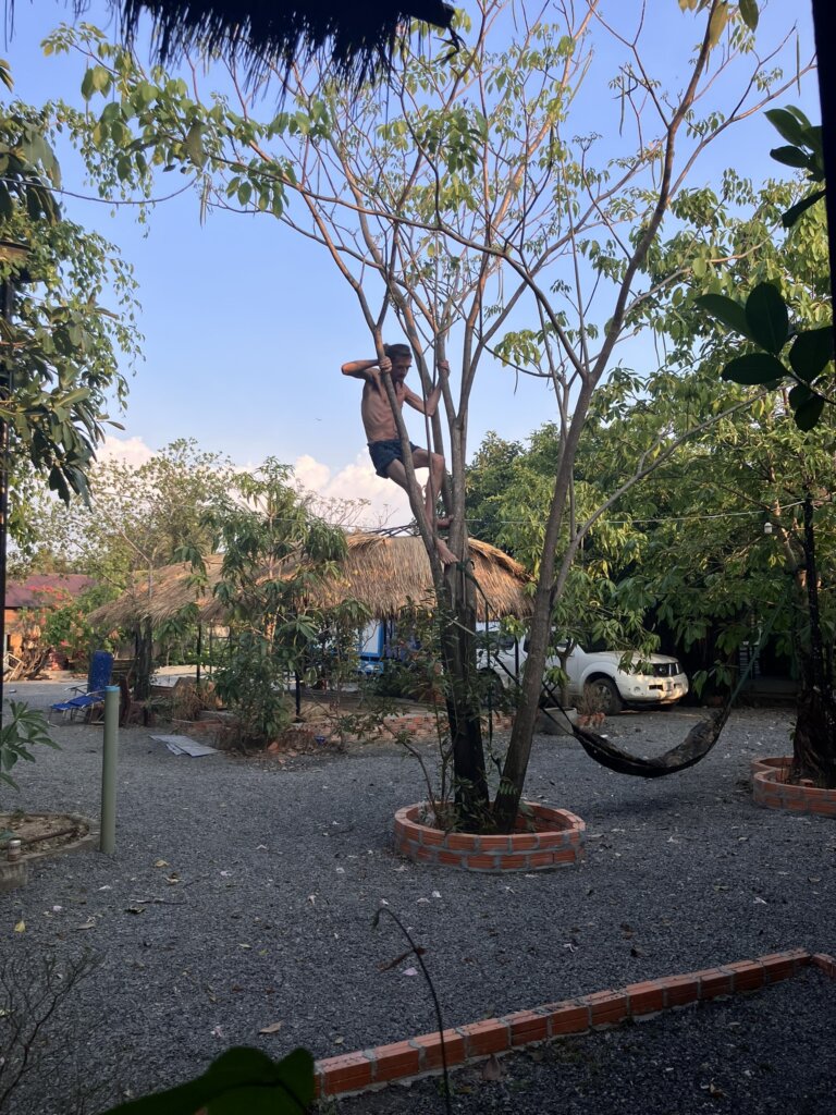 an older man climbing a tree like a monkey