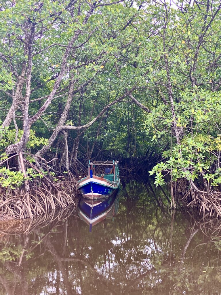 small boat within mangroves on Koh Rong Island, Cambodia