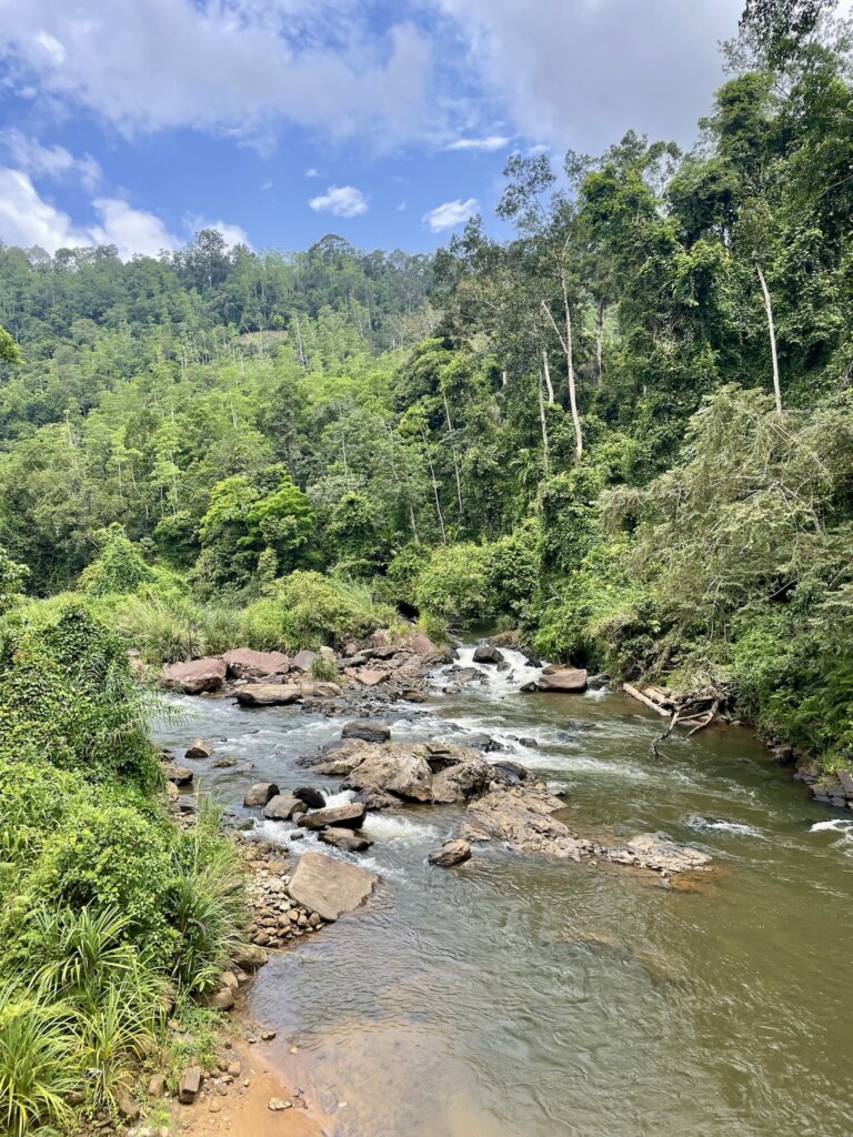 Sinharaja Rain Forest