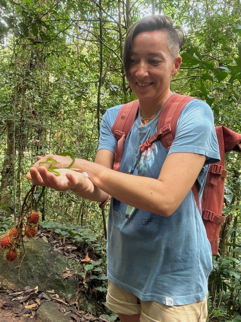Sinharaja Rain Forest, green baby snake